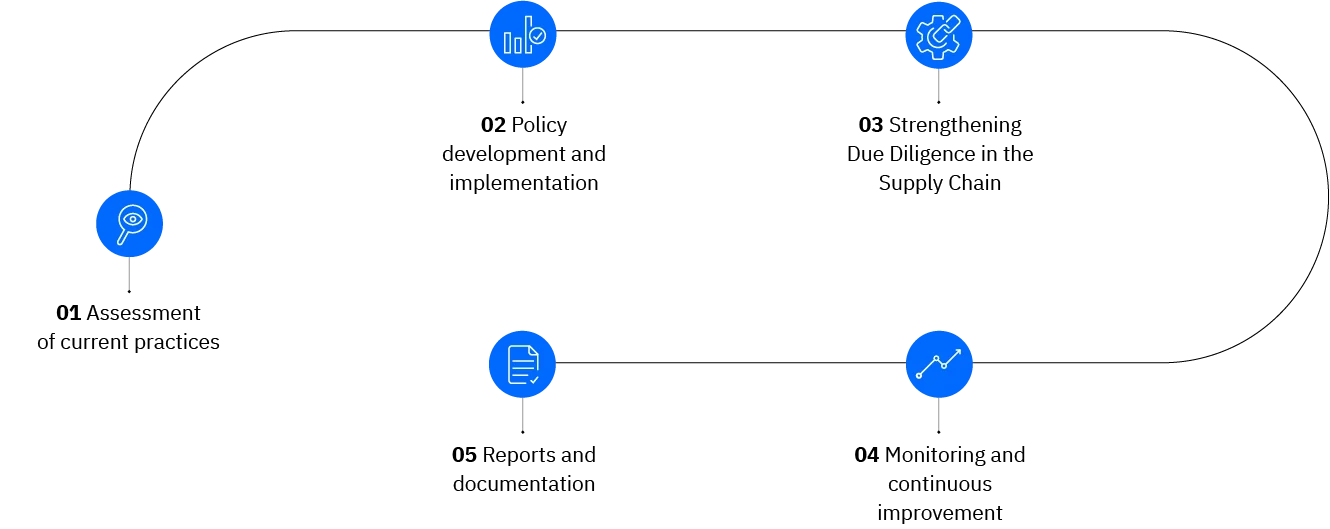 movicoders esg solutions csddd requirements