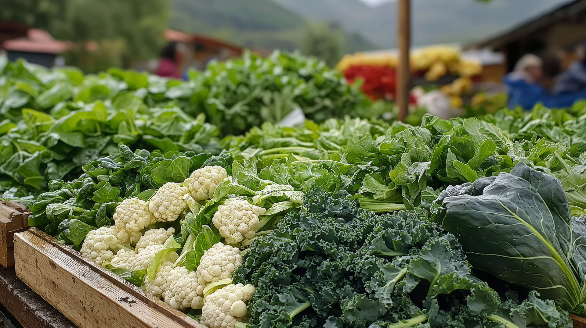 movicoders solutions traceability osapiens tt food