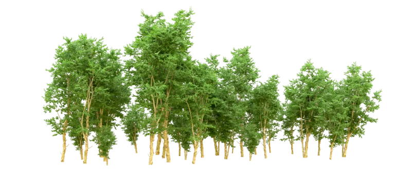 movicoders sustainability quotes